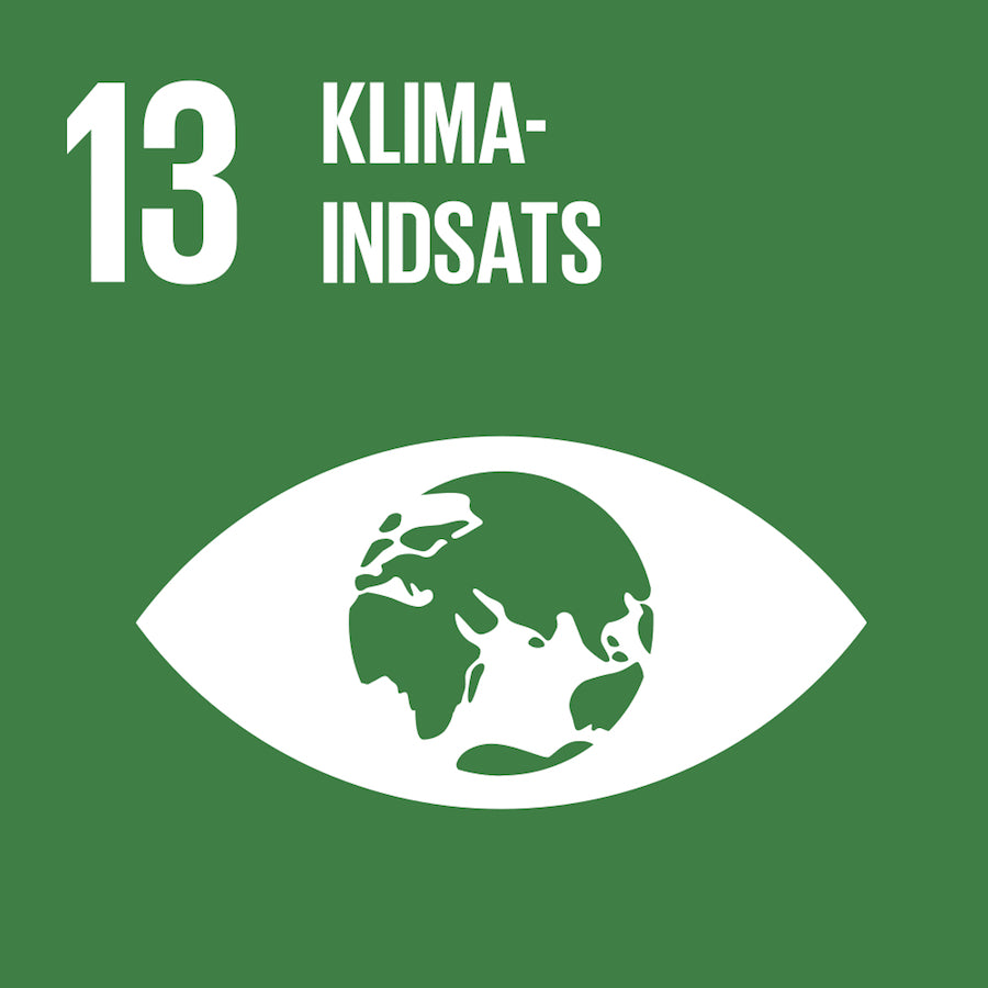 13: Klimatinsatser