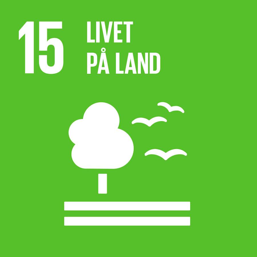 15: Livet på land