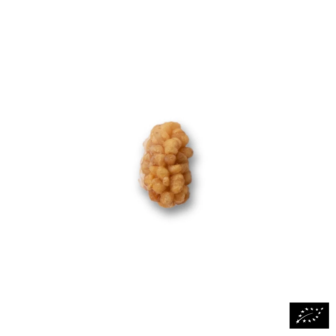 Ekologiska mullbär